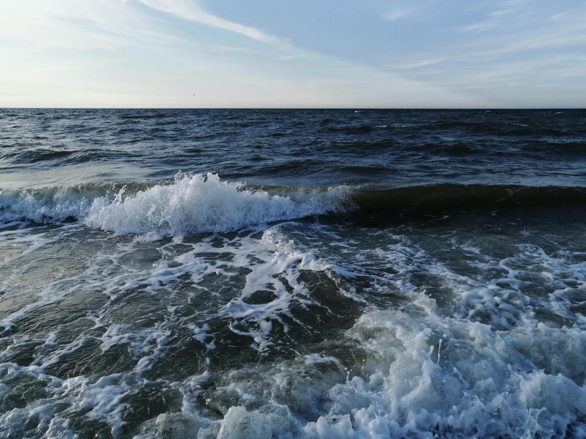 Apartmán Moin Am Deich - Deich 13 C 61 Norddeich  Exteriér fotografie